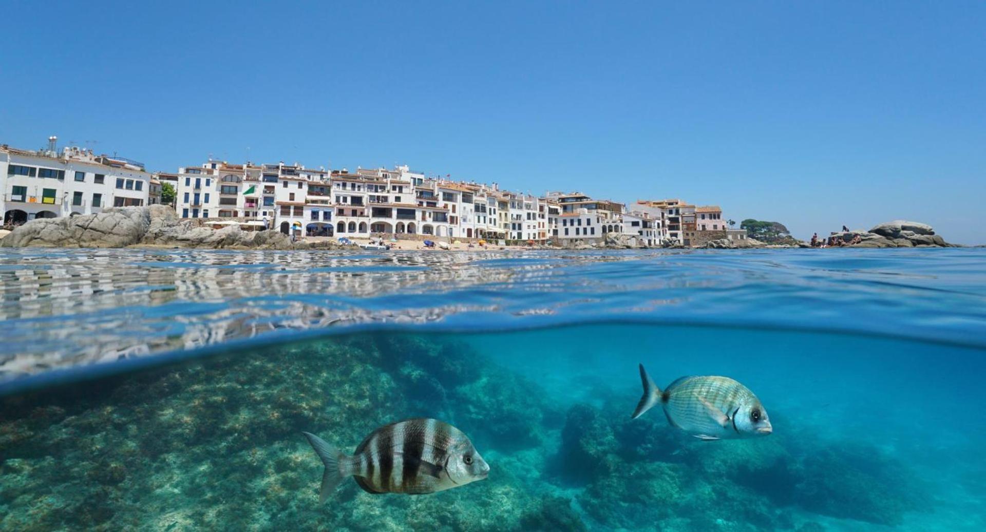 Apartamento Recien Reformado A 300 Metros Del Mar Calella De Palafrugell Exterior photo