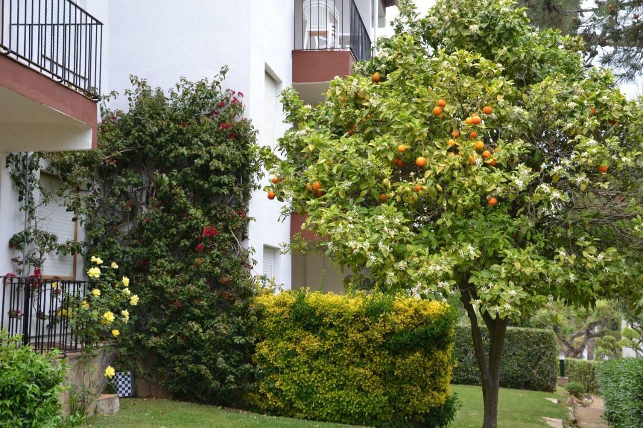 Apartamento Recien Reformado A 300 Metros Del Mar Calella De Palafrugell Exterior photo